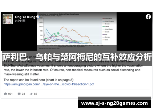 萨利巴、乌帕与楚阿梅尼的互补效应分析